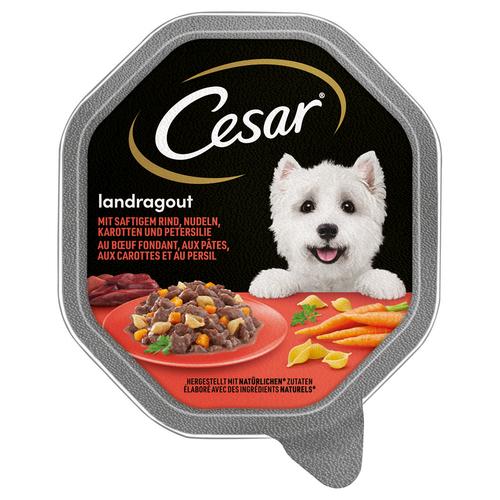 28x150g Landragout mit Rind, Nudeln und Karotten Cesar Hundefutter nass