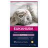 2x10kg Healthy Start Kitten Eukanuba Dry Cat Food