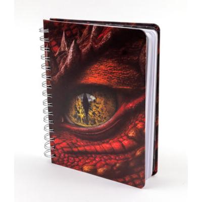 Dragon Spiral Journal