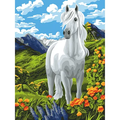 Malen nach Zahlen Weißes Pferd, 30 x 40 cm Image