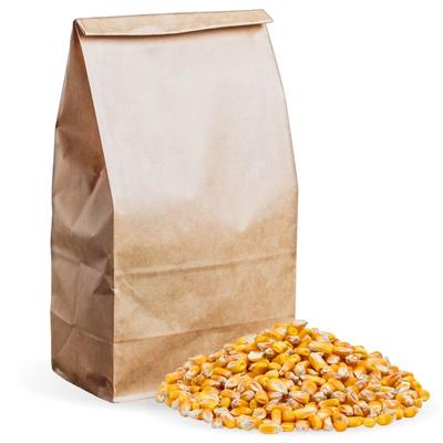 10 kg Lyra Pet Futtermais Qualitätsfutter Körnermais Image