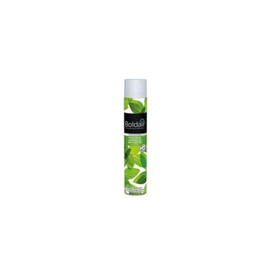 Boldair Minzfrische bakterizid 500ml Image