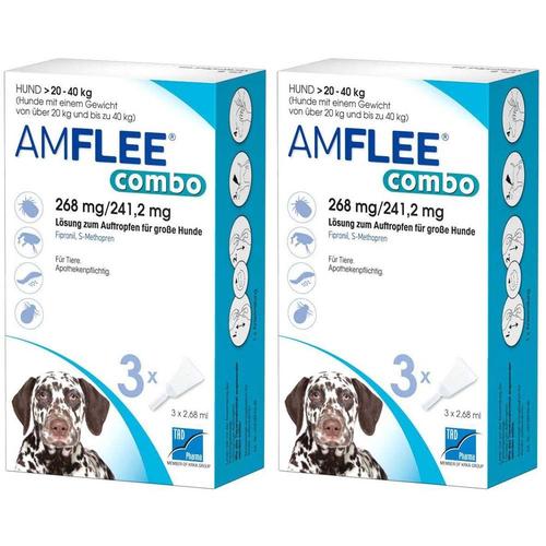 Amflee® combo 268 mg/241,2 mg für große Hunde Doppelpack 2x3 St Lösung