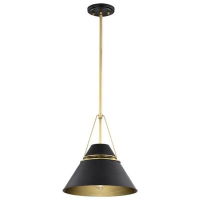 Nuvo Lighting 67766 - 1 Lamp Matte Black Adina Pendant Light Fixture (ADINA 1 LIGHT MEDIUM PENDANT (60-7766))