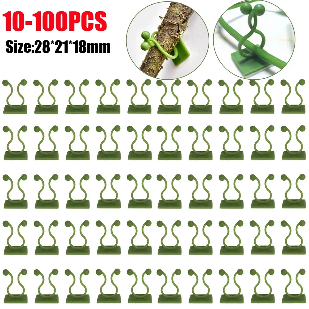 10-100 Stück Pflanzen kletterwand befestigungs clips Pflanzen reben traktion unsichtbare Wand reben Befestigungs clips selbst klebende Pflanzen clips Image