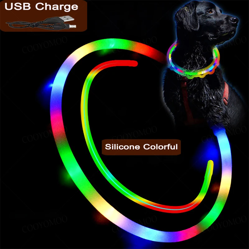 4-Modi Hund Luminou Charge Kragen Led USB Katze Silikon Bunte Kragen Abnehmbare Nacht Glow Haustier Verlust Prävention Hund Zubehör Image