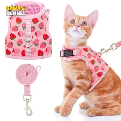 Katzen geschirr Weste Lauf leine für Hündchen Halsband Polyester verstellbares Netz Hunde geschirr Image