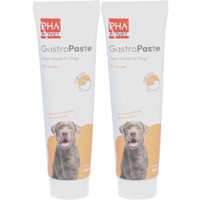 PetVet PHA GastroPaste für Hunde Doppelpack 2x100 ml Paste Image