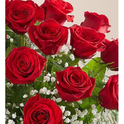 1-800-Flowers Everyday Gift Delivery Milestone Anniversary Bouquet 20 Stems Of Red