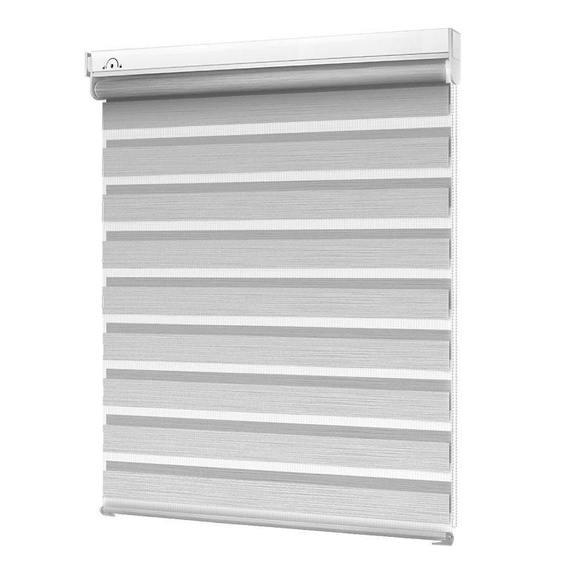 Casaya-transparente Zebra-Jalousien, doppels chichtige Lichts chattierungs rollos für Wohnzimmer Schlafzimmer Studie benutzer definierte Größe Image