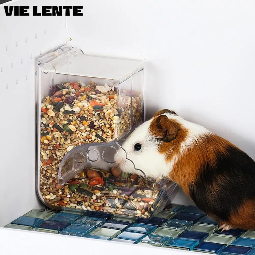Distributeur de nourriture pour Hamster, lapin, écureuil, mangeoire automatique en plastique transparent pour animaux de compagnie, pour Hamster, cochons d'inde, bol de nourriture, conteneur