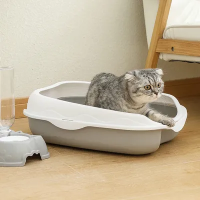 Cat+Supplies