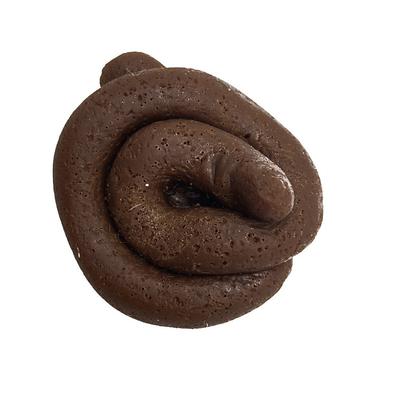 Fake Poo Realistic Fake Turd Prank Lifelike Poo Toy Gags and Practical Joke Toys for April Fools' Day Prank Party Supplies