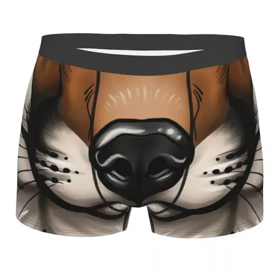 Red Fox Boxershorts Herren 3D-Druck Männlich Stretch Red Fox Face Furry Animal Unterwäsche Höschen Slips Image