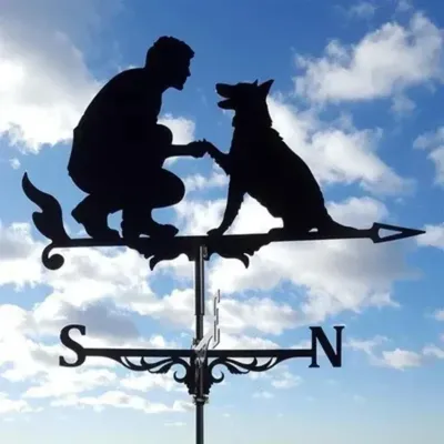 Metal Weathervane,Witch Iron Weather Vane,Sea Rover Wind Direction Indicator Garden Decoration Outdoor Roof Decoration Gardening