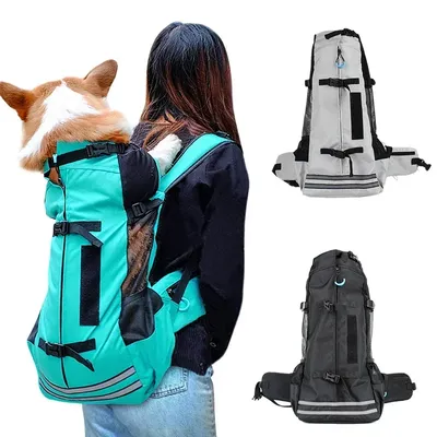 Modischer wasserdichter Hunde-Reiserucksack, verdickte, verbreiterte Träger, Haustier-Tragetaschen, Image