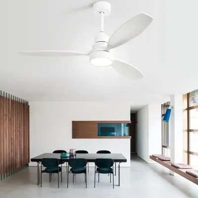 Ceiling+Fans