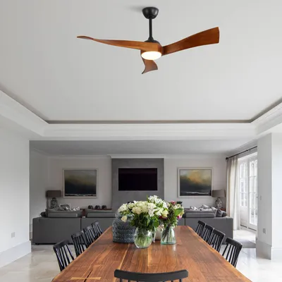 Ceiling+Fans