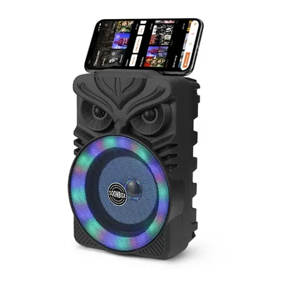 HiFi Stereo Subwoofer Bluetooth-Compatible FM Radio Aux Karaoke Handheld Sound Subwoofer RGB Light