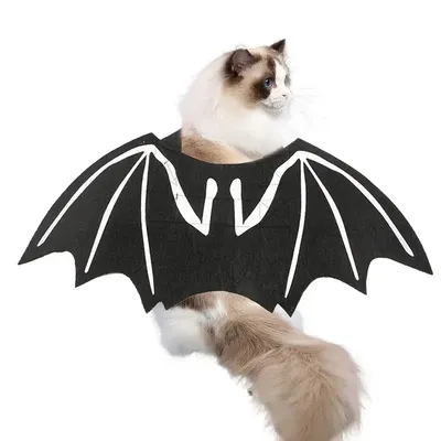 Pet+Costumes