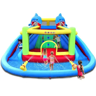 Water Slide with Bounce House,Dolphin Styling,Splashing Pool,Double Water Cannon,Climbing Wall,Heavy