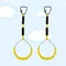 2 Pcs Fitness Ring Workout Kids Gymnastic for Children Climbing The Swing Cross