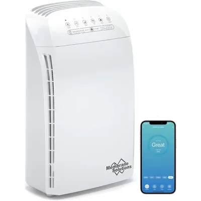 Air+Purifiers