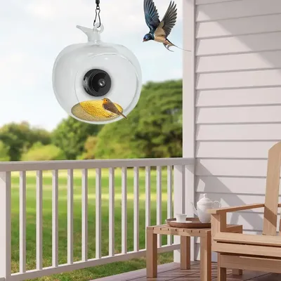 Bird Feeder Camera Shape Of Apple Bird Videos Built-in Microphone Bird Feeder Camera WiFi Live