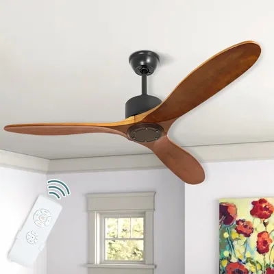 Ceiling+Fans