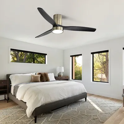 Ceiling+Fans