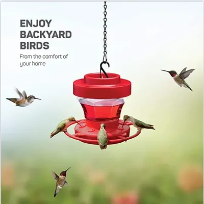 Plastic Hummingbird Feeder For Outdoor 480 Wild Bird Feeder 3 Feeding Ports Iron Hook Hanging for