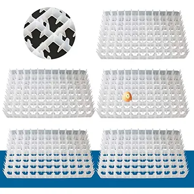 Plastic Egg Tray Container 5pcs Hatcher Storage Will fit for 88 Eggs Incubator Sorting and Shipping