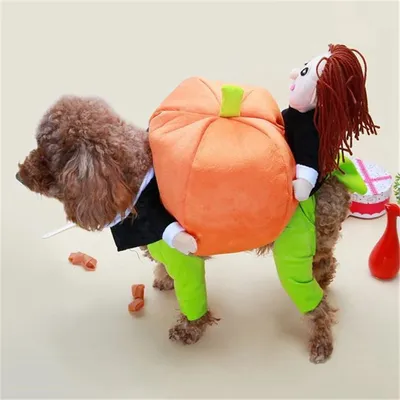 Pet+Costumes