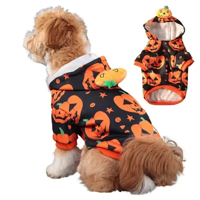 Pet+Costumes