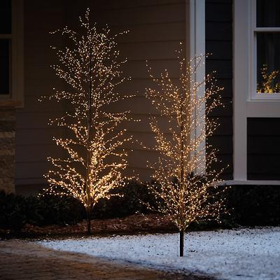 LED Outdoor Twig Trees - 5' - Ballard Designs