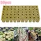 50Pcs Plant Starter Grow Plug Cubes Base Practical Cubes for Garden Greenhouse Orchard Sun Room