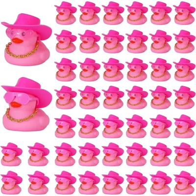 48PCS Pink Mini Rubber Ducks with Cow-boy Hat,2 Styls of Glasses,Necklace,Car Ducks,Party