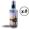 Kibros - Aérosol parfumeur 125 ml Parfum Divine Forte rémanence - Quantité x 6 - 125 ml - Parfum