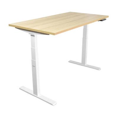 Mount-It! Ultimate Dual Motor Electric Standing Desk with 55