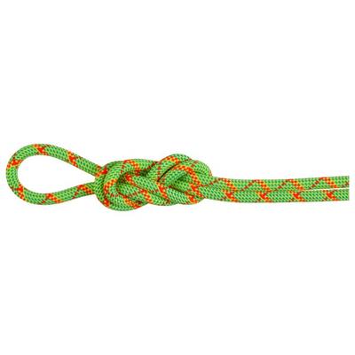 Mammut - 8.0 Alpine Core Protect Dry Rope - Halbseil Länge 50 m grün Image