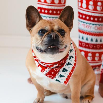 Festive Fair Isle Pet Bandana - M/L