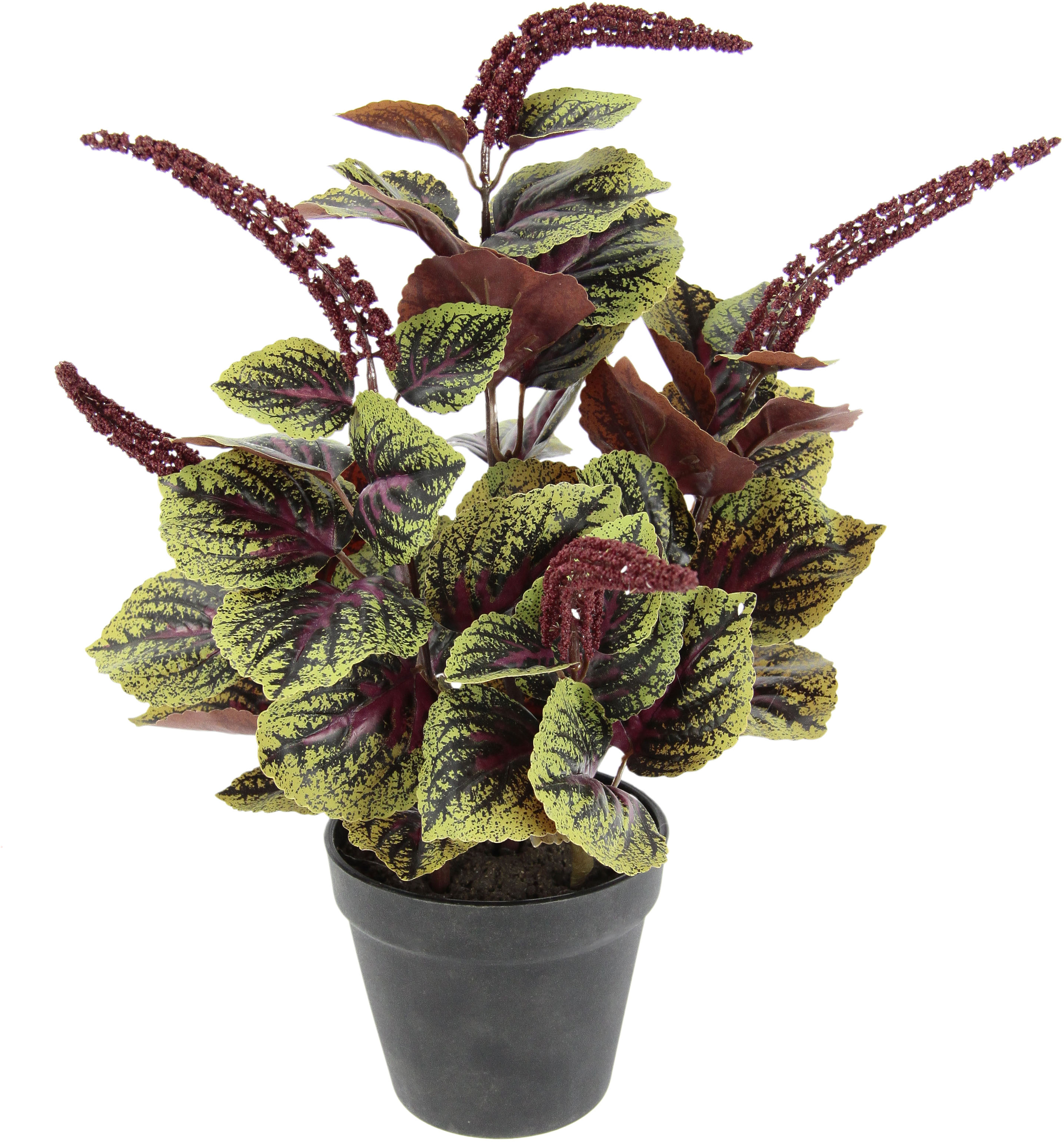 Kunstpflanze I.GE.A. "Zwergpfeffer", grün (grün, rot), B:30cm H:38cm, Obermaterial: 90% Polyester, 10% Kunststoff, Kunstpflanzen, Im Topf