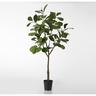 Ficus Lyrata 200 cm - Grün Anderer Kunststoff Lou De Castellane 0.01x0.01 cm