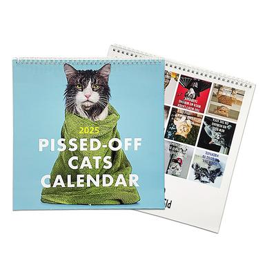 Funny Pissed Off Cat Calendar 2025 Wall Calendar Planner Monthly Planner Calendar Cats Funny Sayings Family Organizer Wall Calendars Planner Calendar Gift