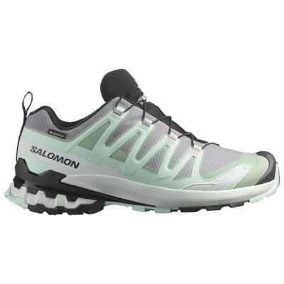 Salomon - Women's XA Pro 3D V9 GTX - Multisportschuhe 38 2/3 | EU 38,5 grau Image