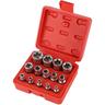 Coffret de Douille Torx en Forme Etoile en 14 Pièces, 3 Spécifications 1/4', 3/8', 1/2', E4-E24