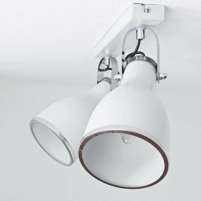 Licht-erlebnisse - Deckenstrahler bjorn grey in Grau 2-flmg Image