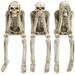 World Menagerie Figurines - Realistic Skull Decorations See Speak Hear No Evil Home Decor Set of 3 in Black | 4.3" H X 2.3" W X 4" D | Wayfair