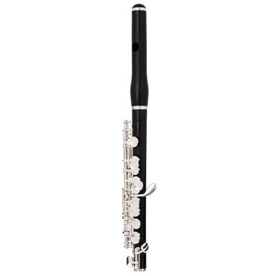 Philipp Hammig 650/2 Piccolo Flute