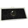 Filtro a carboni attivi compatibile con Gaggenau AH198150/05, AH198150/04, AH198150/03,